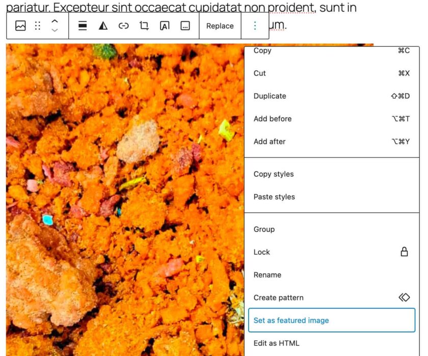 從塊工具欄下拉菜單中將圖像設(shè)置為特色