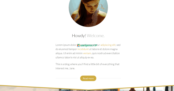 WordPress 免費(fèi)個人博客主題  Blogrow