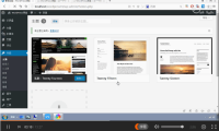 WordPress 快速入門視頻教程35：主題的作用講解