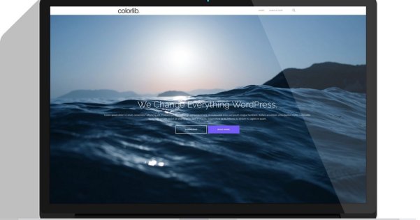 WordPress 單頁視差企業(yè)主題 Shapely