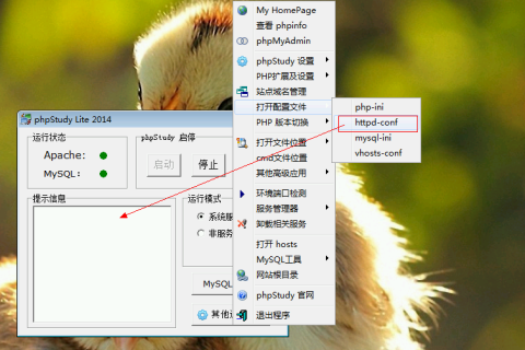 WordPress 快速入門視頻教程47：如何開啟mod_rewrite功能