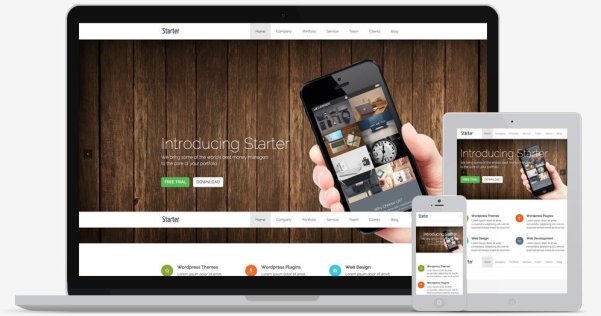 WordPress 免費(fèi)單頁面主題 Starter