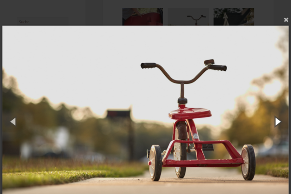 WordPress 響應(yīng)式圖片燈箱插件 WF Magnific Lightbox