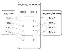 理解和利用 WordPress 中的數(shù)據(jù)關(guān)系