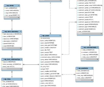 理解和利用 WordPress 中的選項表