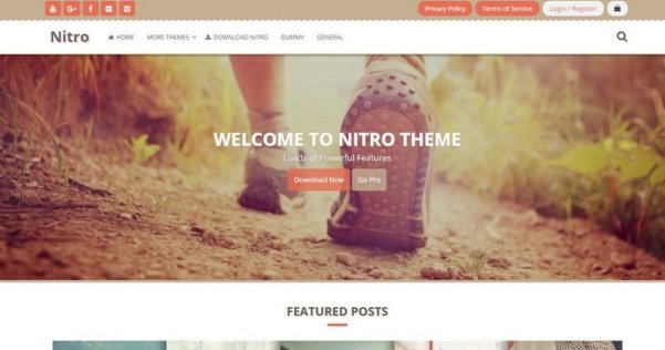 WordPress 多用途 WooCommerce 商城主題 Nitro
