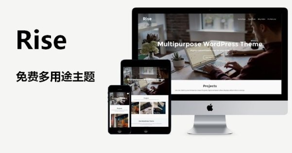 WordPress 免費(fèi)多用途主題 Rise