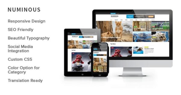 WordPress 免費(fèi)新聞雜志主題 Numinous