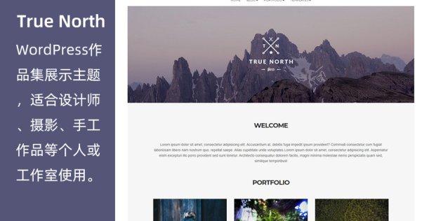 WordPress免費作品集主題 True North