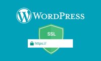 什么是SSL？為什么要為WordPress網(wǎng)站使用SSL？