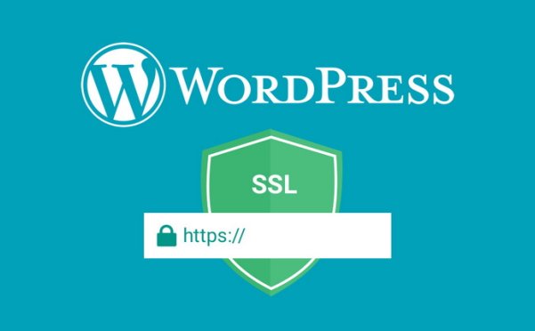 什么是SSL？為什么要為WordPress網(wǎng)站使用SSL？