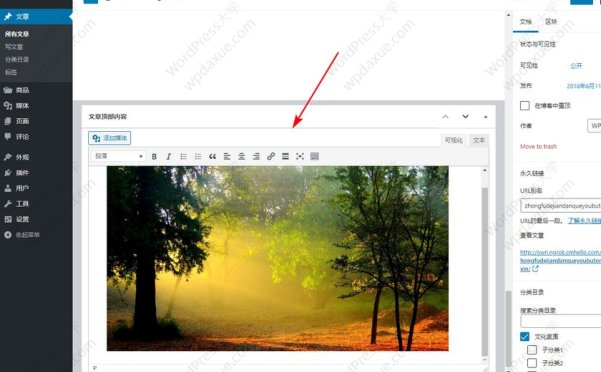 WordPress為文章編輯界面添加一個編輯器輸入框