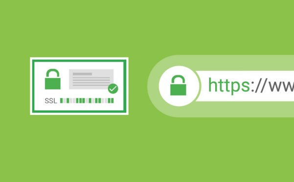 您應該為網(wǎng)站選擇哪種類型的 SSL 證書？