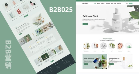 美容護(hù)膚用品營(yíng)銷(xiāo)模板 B2B025