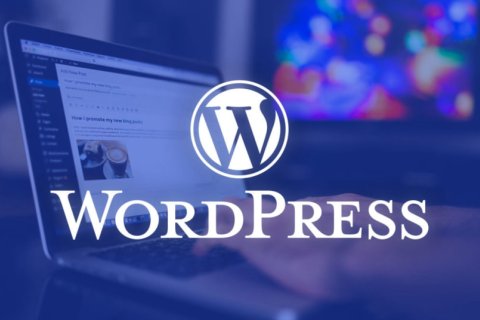 WordPress 替換后臺(tái)插件安裝列表的插件描述