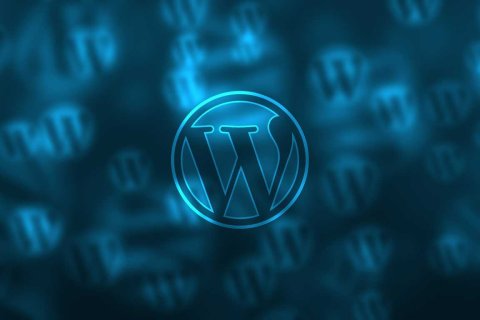 WordPress 6.1 新增必填字段相關(guān)函數(shù)和鉤子