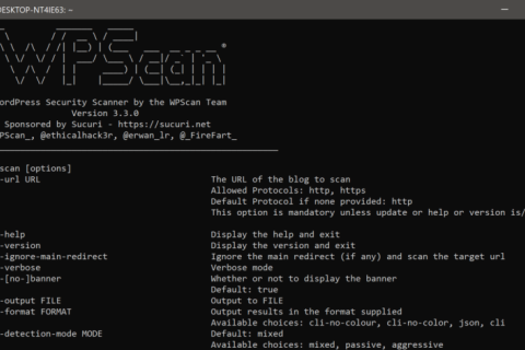 基于事實(shí)和統(tǒng)計(jì)數(shù)據(jù)的 WordPress 安全性