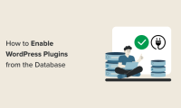 如何從數(shù)據(jù)庫啟用/激活 WordPress 插件