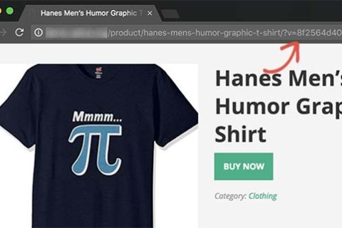 如何從 WordPress 網(wǎng)址中刪除 v=XXXX 字符串