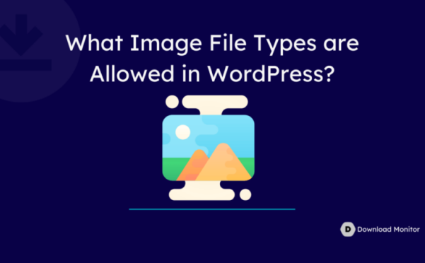 WordPress 允許上傳的文件類型以及如何新增新的文件類型支持