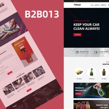 汽車清洗保養(yǎng)產(chǎn)品營銷模板 B2B013