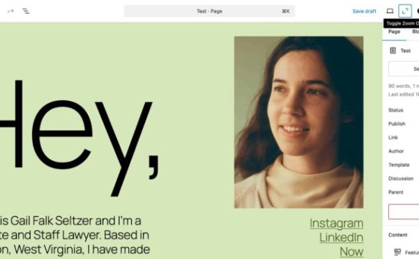 WordPress 6.7 新功能預覽:縮小模式、元框、塊綁定 API 等等