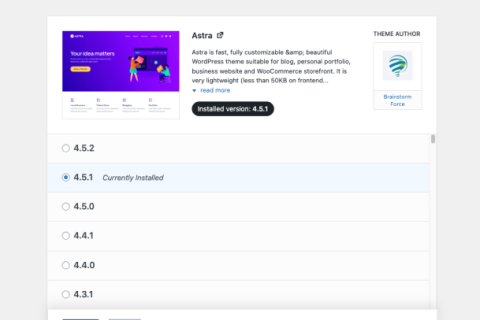 使用 WP Rollback 回滾安裝主題和插件的任意版本
