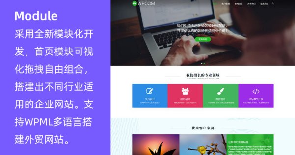 WordPress多功能模塊企業(yè)主題 Module