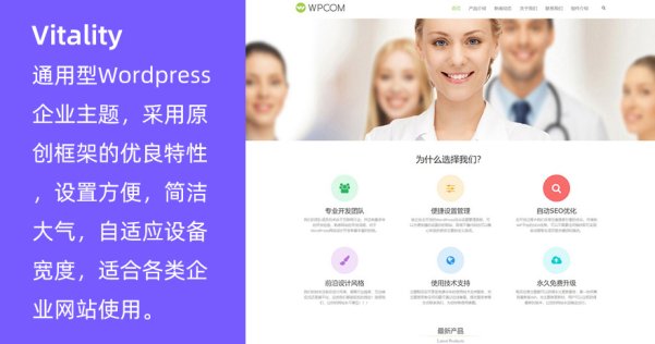 WordPress通用型企業(yè)主題 Vitality